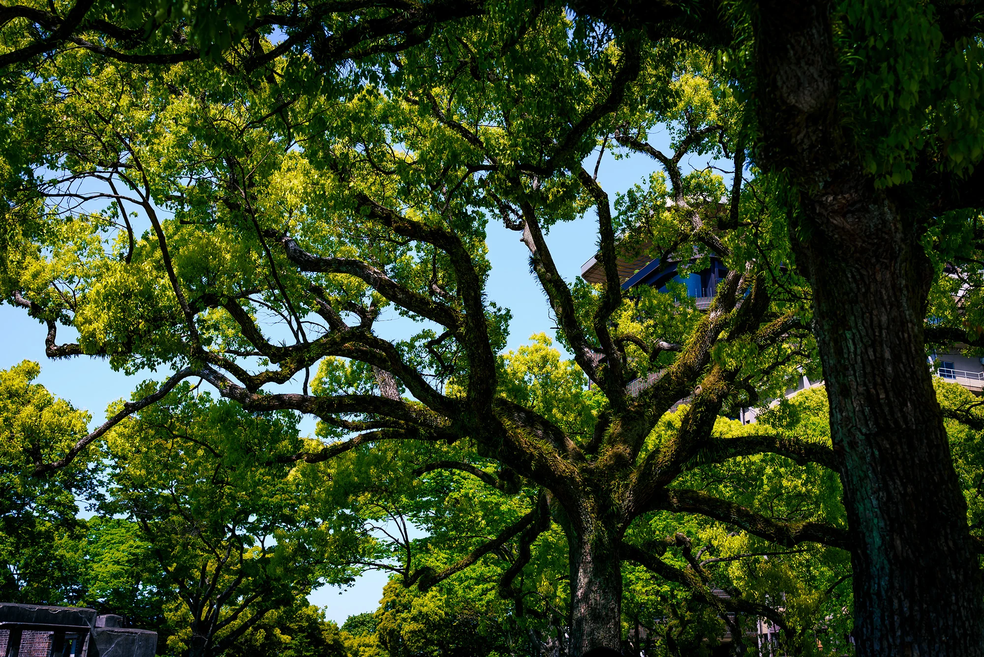 広島を拠点にWebサイトの構築や紙媒体、映像などの制作を行っている会社です