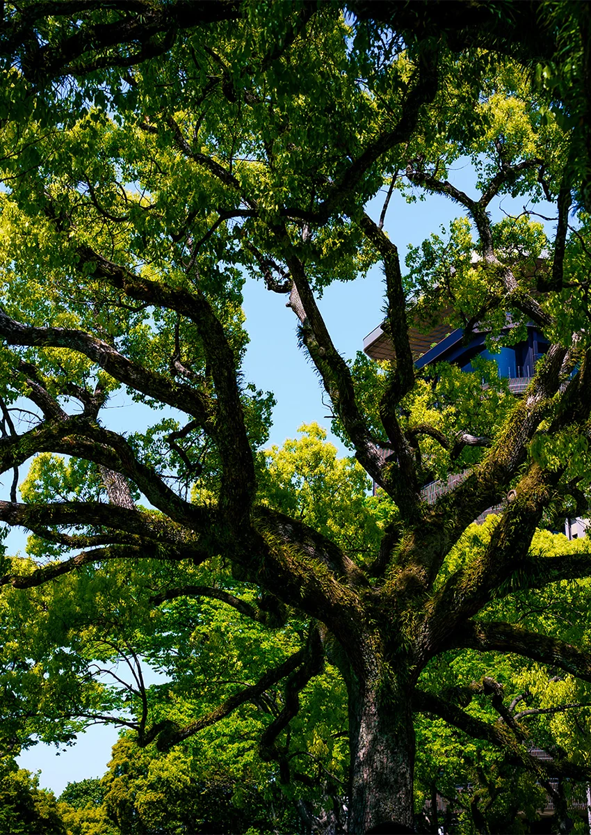 広島を拠点にWebサイトの構築や紙媒体、映像などの制作を行っている会社です